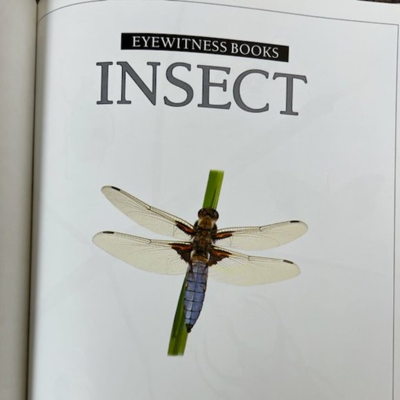 Insect book - Picture 2 of 5